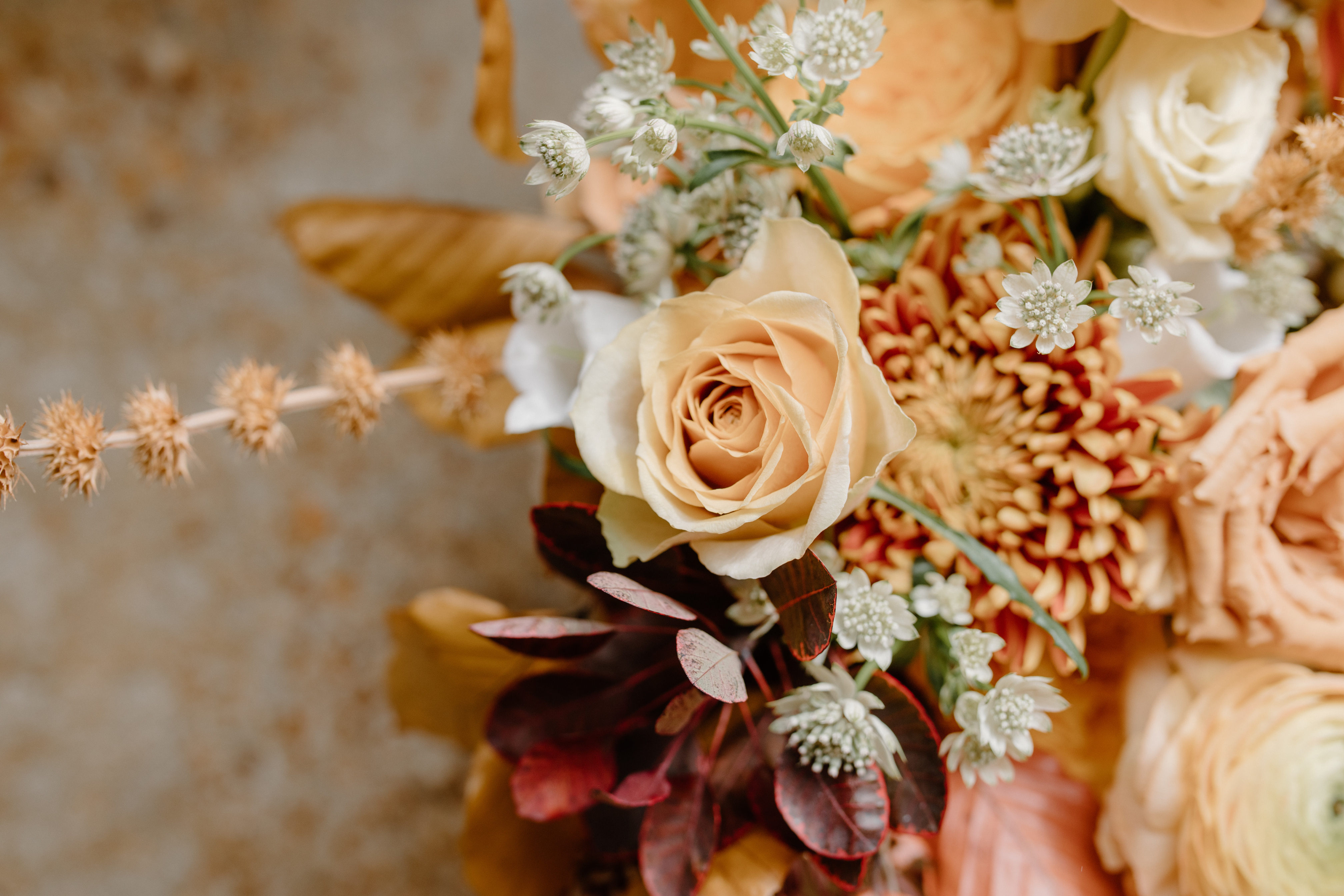 Elegant bouquet with blooming flowers